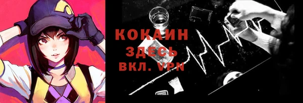 шишки Белокуриха