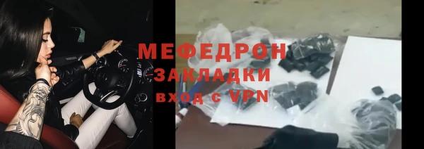 шишки Белокуриха