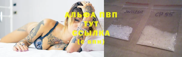 spice Богданович