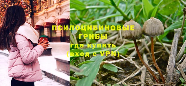 шишки Белокуриха