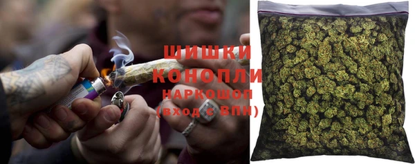 шишки Белокуриха