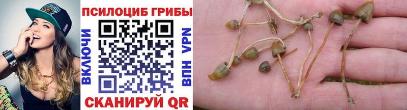 Галлюциногенные грибы мухоморы  Буинск 